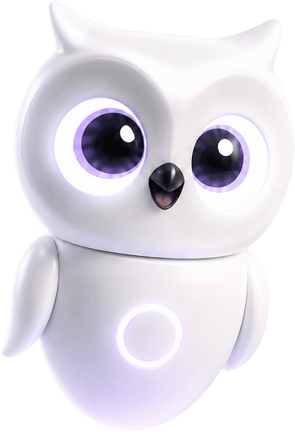 Eva the owl